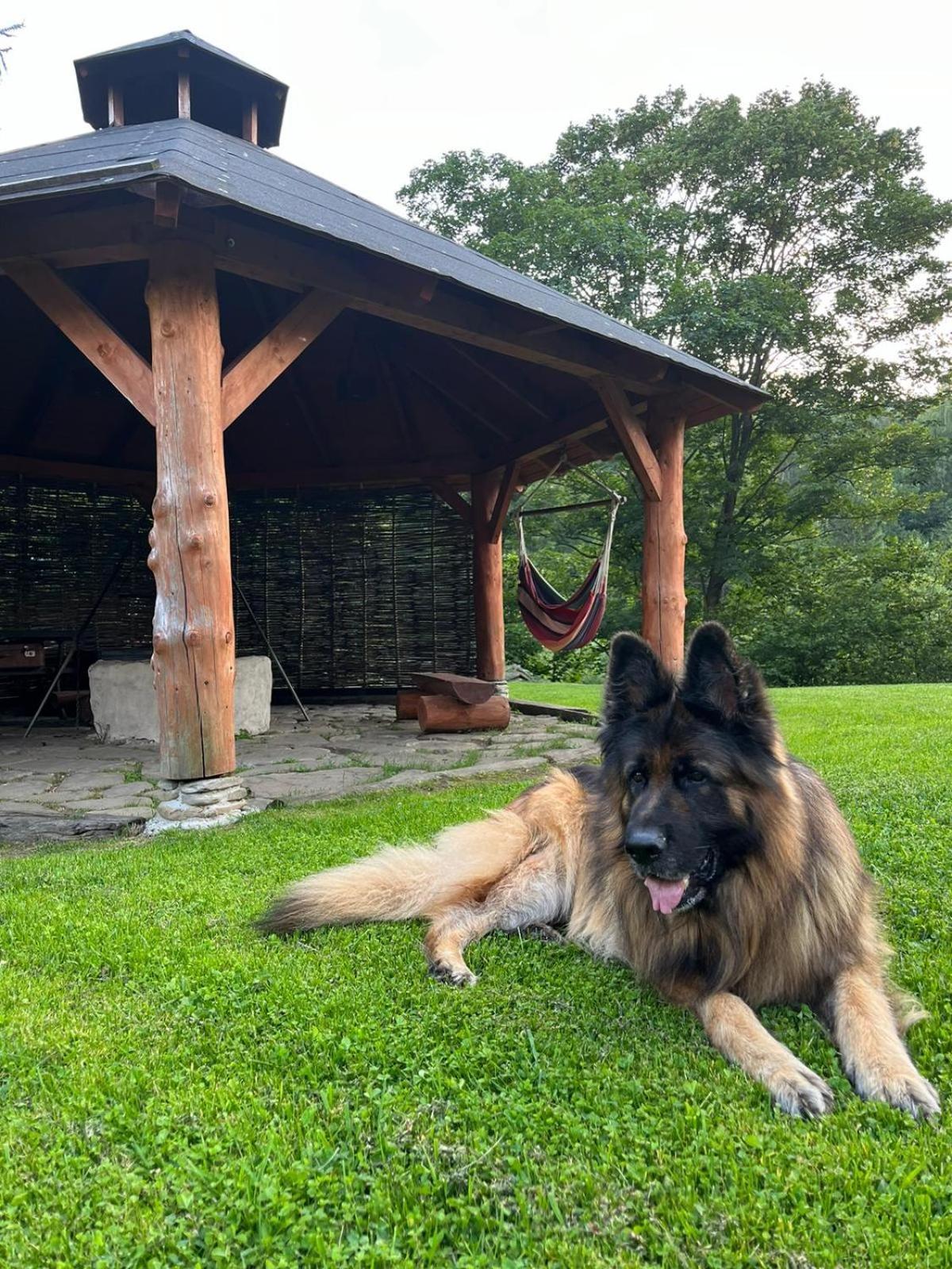 Appartamento Pegazowa Wola Cisna Esterno foto
